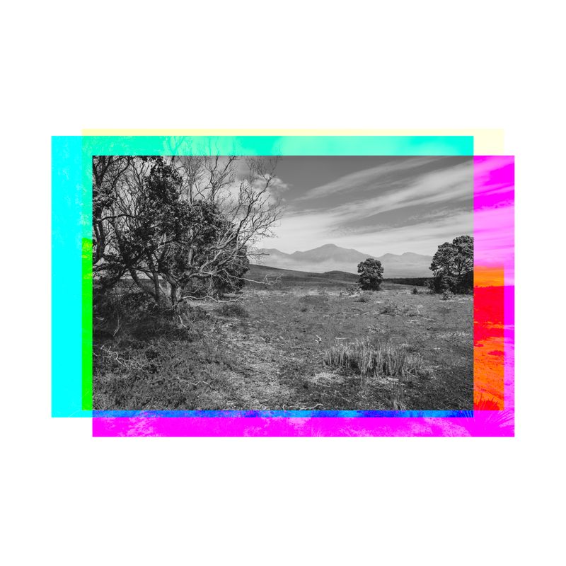 © David Hartwell - Image from the Plausible Landscapes photography project