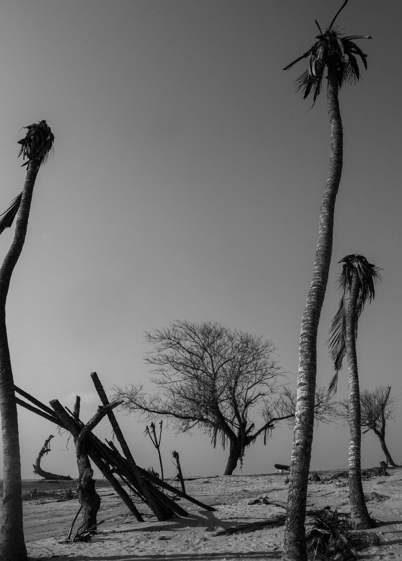 © Ofoe Amegavie - Between Sand and Water, 2020