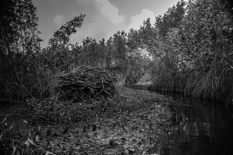 © Ofoe Amegavie - Image from the Between Sand and Water photography project