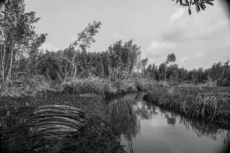 © Ofoe Amegavie - Image from the Between Sand And Water photography project