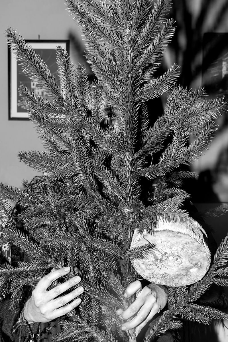 © Filippo Venturi - Image from the How long is the night? photography project