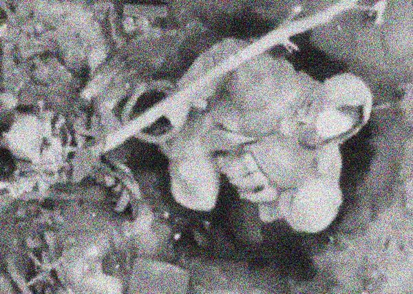 © Filippo Venturi - Frame extracted from video footage of a Russian soldier surprised by a Ukrainian war drone.