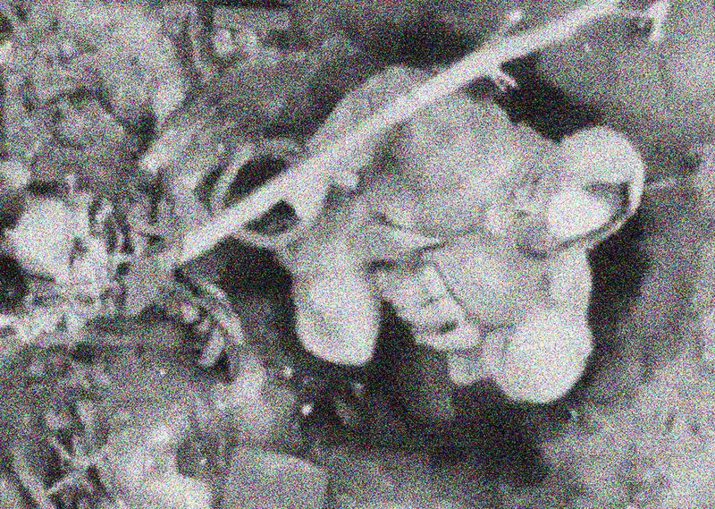 © Filippo Venturi - Frame extracted from video footage of a Russian soldier surprised by a Ukrainian war drone.