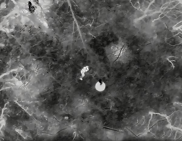 © Filippo Venturi - Image from the The Ravenous Machine photography project