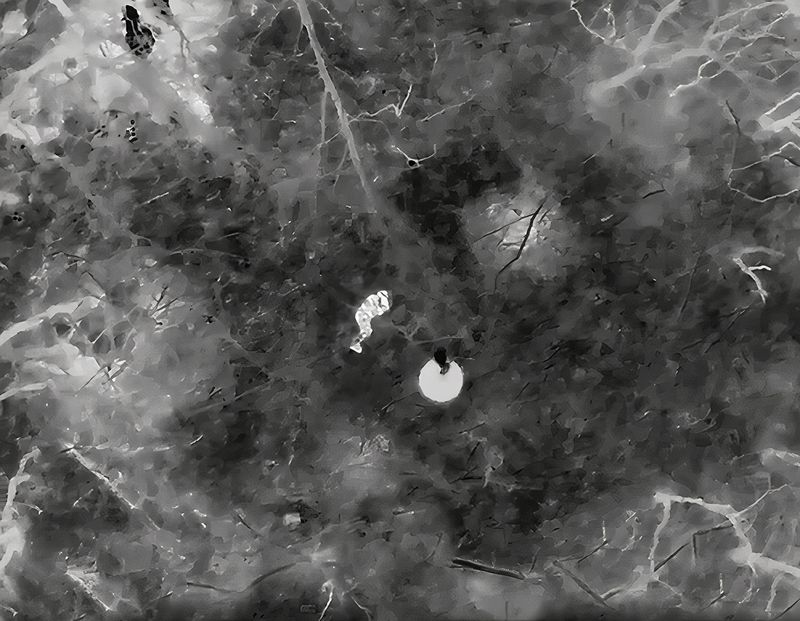 © Filippo Venturi - Image from the The Ravenous Machine photography project