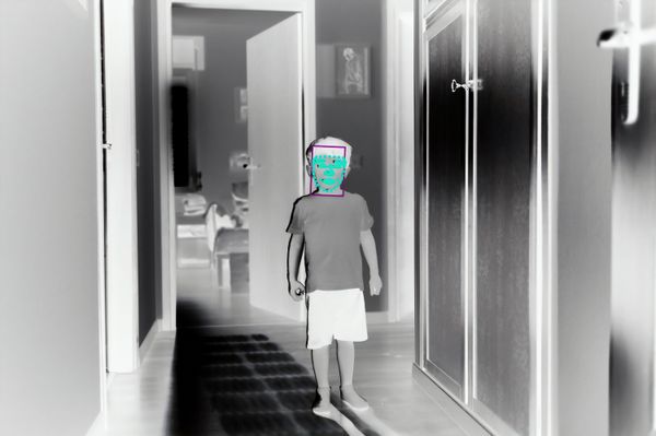 © Filippo Venturi - Photograph of my son Ulisse,analysed by facial recognition software. June 23, 2021.