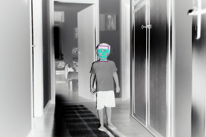 © Filippo Venturi - Photograph of my son Ulisse,analysed by facial recognition software. June 23, 2021.