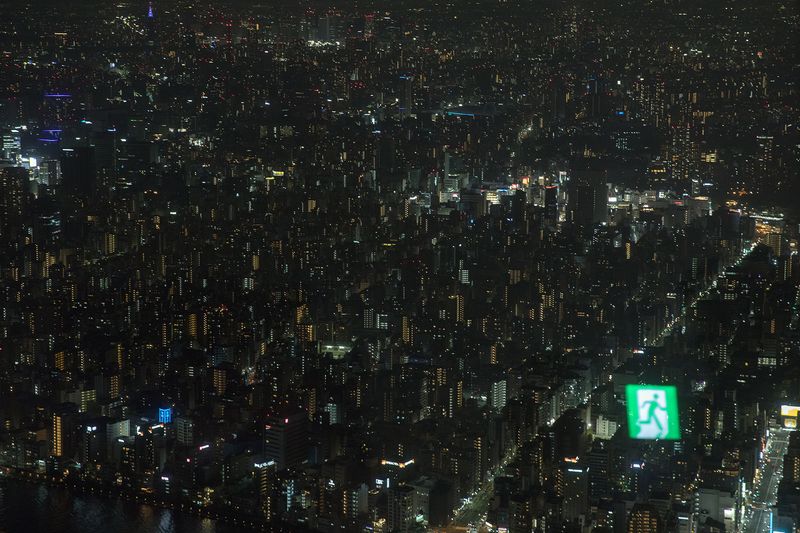 © Filippo Venturi - Nighttime top view of Tokyo. Japan.