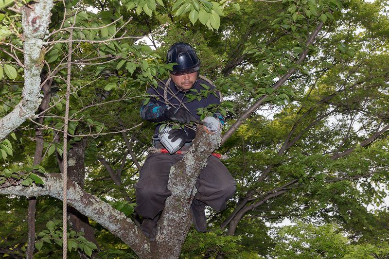 © Filippo Venturi - Image from the The nail that sticks out gets hammered down photography project