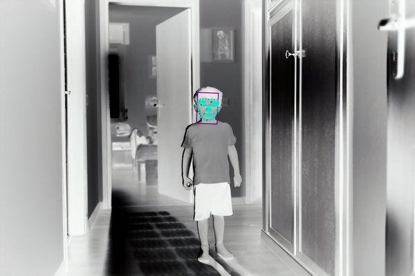 © Filippo Venturi - Photograph of my son Ulisse,analysed by facial recognition software. June 23, 2021.