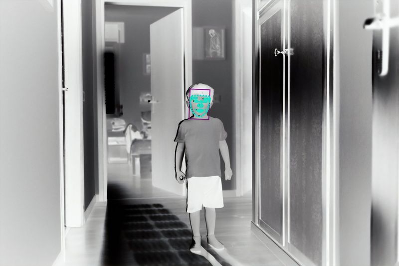 © Filippo Venturi - Photograph of my son Ulisse,analysed by facial recognition software. June 23, 2021.