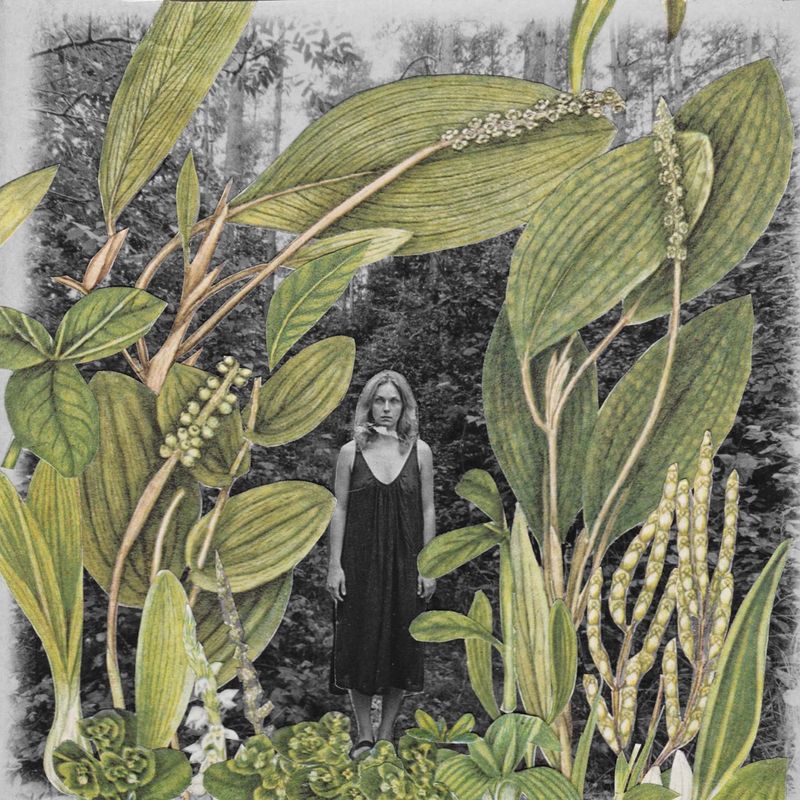 © Magdalena Hueckel - REM Cycle / Primavera