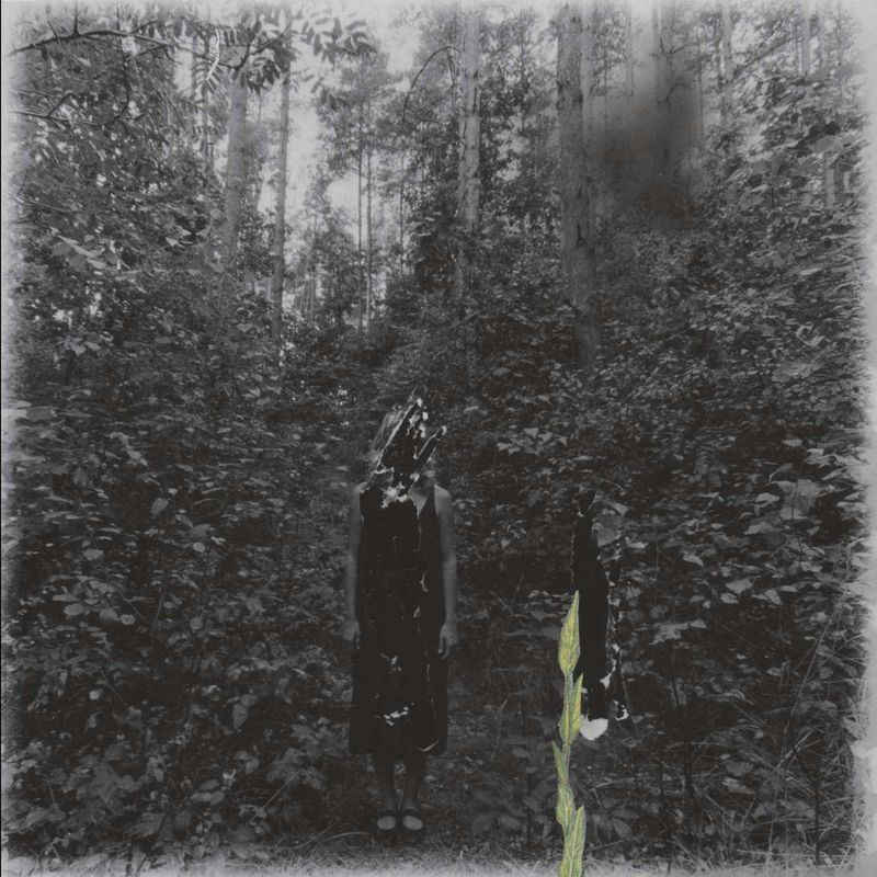 © Magdalena Hueckel - REM Cycle / Primavera