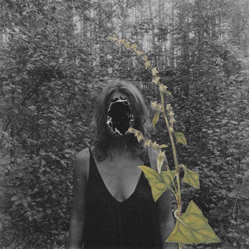 © Magdalena Hueckel - REM Cycle / Primavera