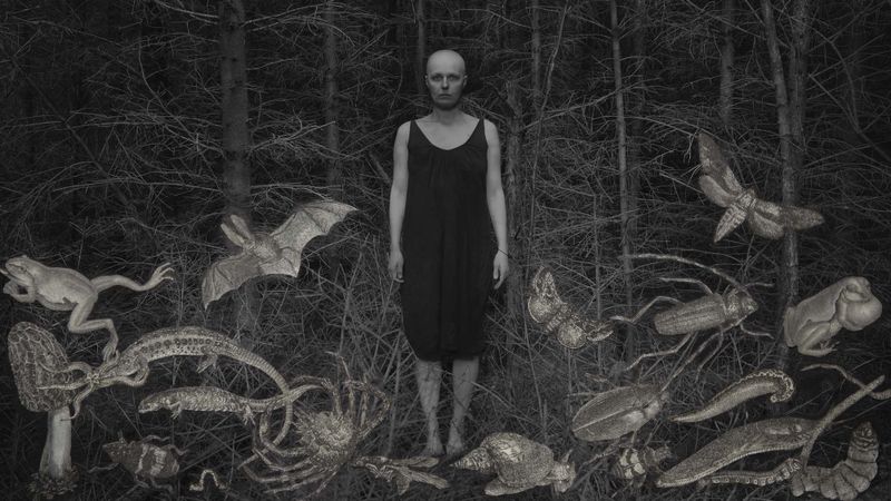 © Magdalena Hueckel - REM Cycle / Invierno