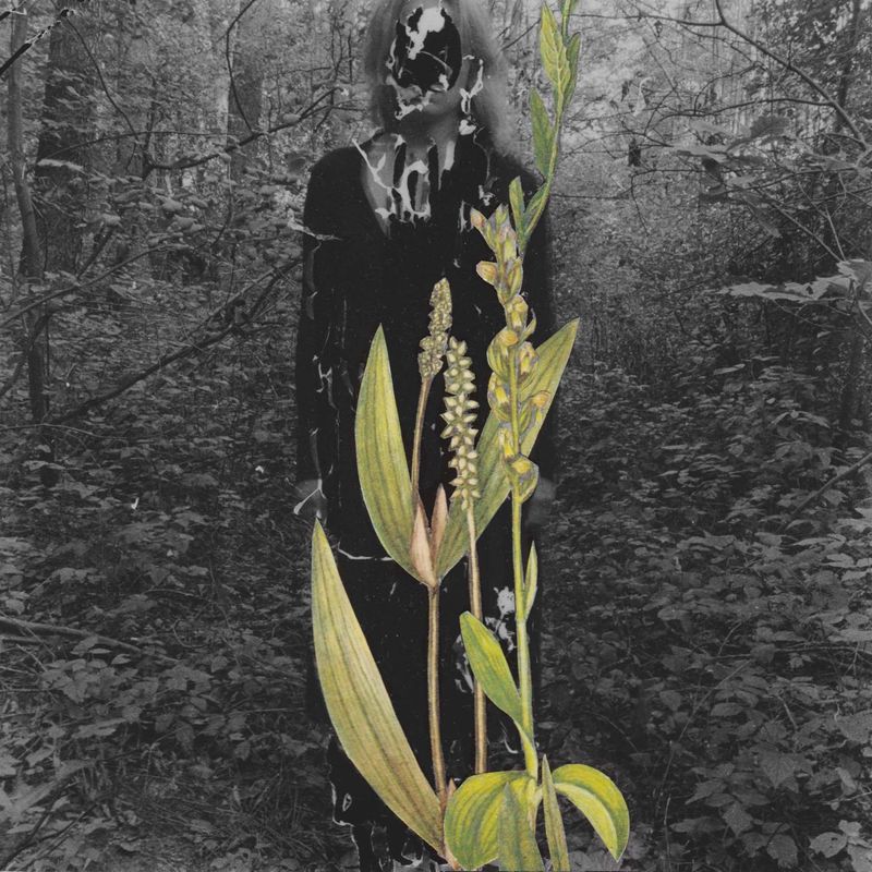 © Magdalena Hueckel - REM Cycle / Primavera