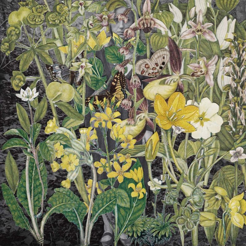 © Magdalena Hueckel - REM Cycle / Primavera