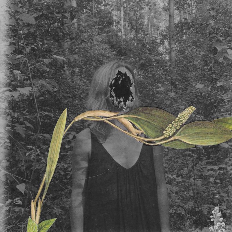 © Magdalena Hueckel - REM Cycle / Primavera