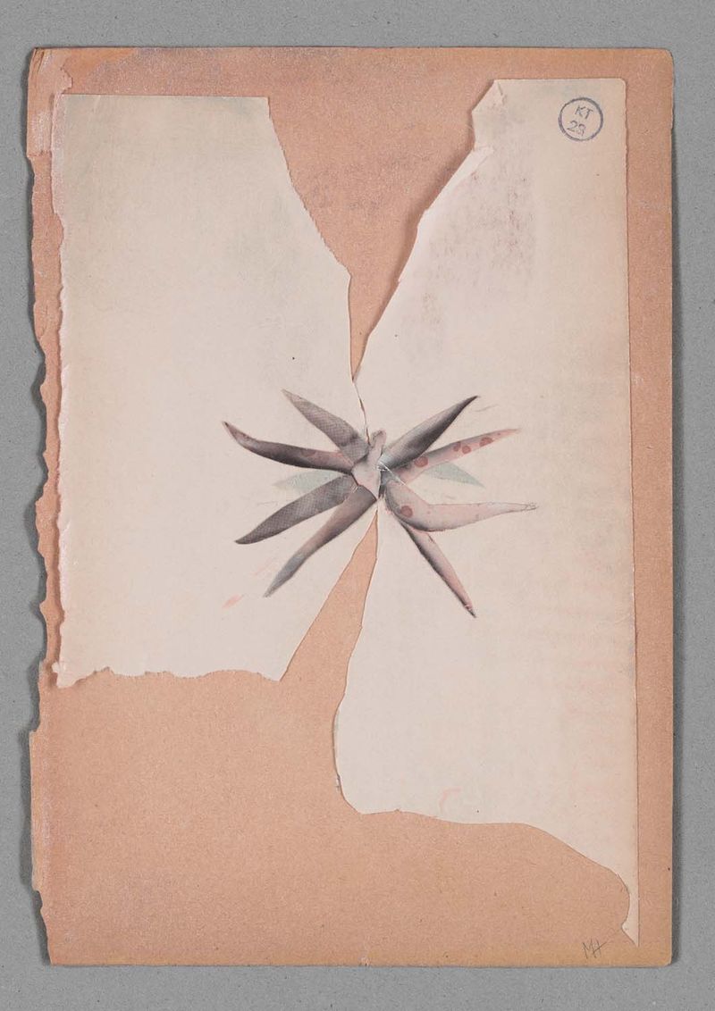 © Magdalena Hueckel - Image from the Nagie / Nudes photography project