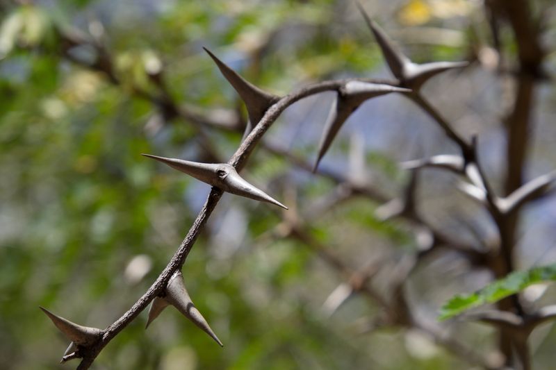 © Gioia Kuss - Image from the The Heart of the Matter—A Woman’s Front. photography project