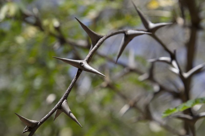 © Gioia Kuss - Image from the The Heart of the Matter—A Woman’s Front. photography project