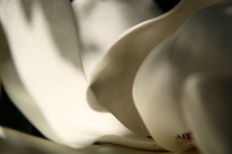 © Gioia Kuss - Image from the The Heart of the Matter—A Woman’s Front. photography project