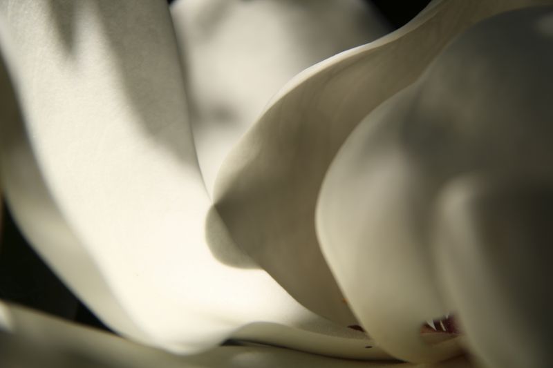 © Gioia Kuss - Image from the The Heart of the Matter—A Woman’s Front. photography project