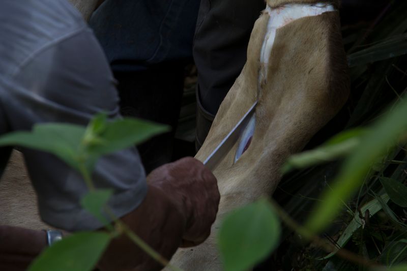 © Gioia Kuss - Image from the The Heart of the Matter—A Woman’s Front. photography project