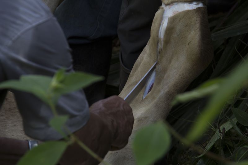 © Gioia Kuss - Image from the The Heart of the Matter—A Woman’s Front. photography project