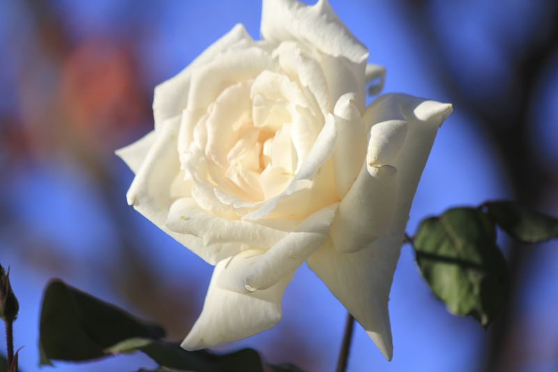 © Gioia Kuss - Image from the The Heart of the Matter—A Woman’s Front. photography project