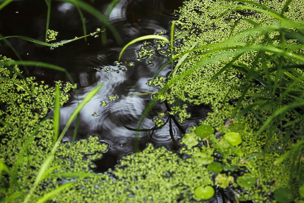 © Gioia Kuss - Image from the The Heart of the Matter—A Woman’s Front. photography project