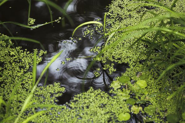 © Gioia Kuss - Image from the The Heart of the Matter—A Woman’s Front. photography project