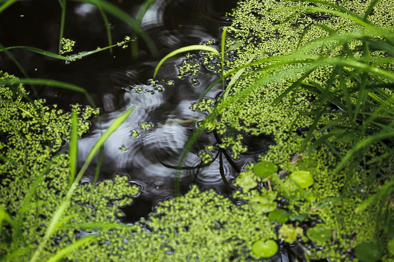 © Gioia Kuss - Image from the The Heart of the Matter—A Woman’s Front. photography project