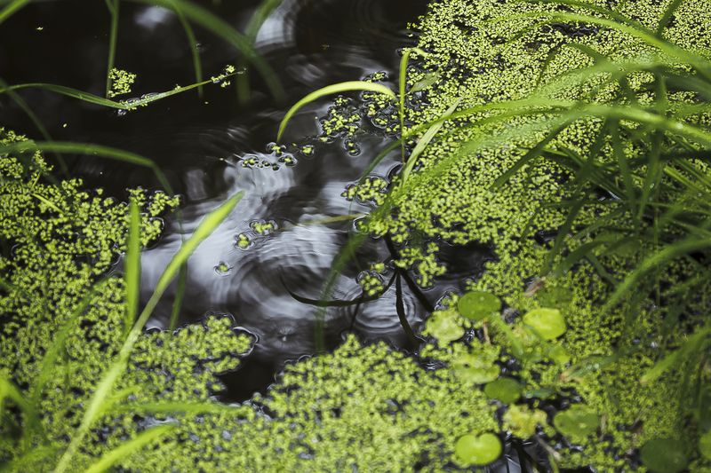 © Gioia Kuss - Image from the The Heart of the Matter—A Woman’s Front. photography project