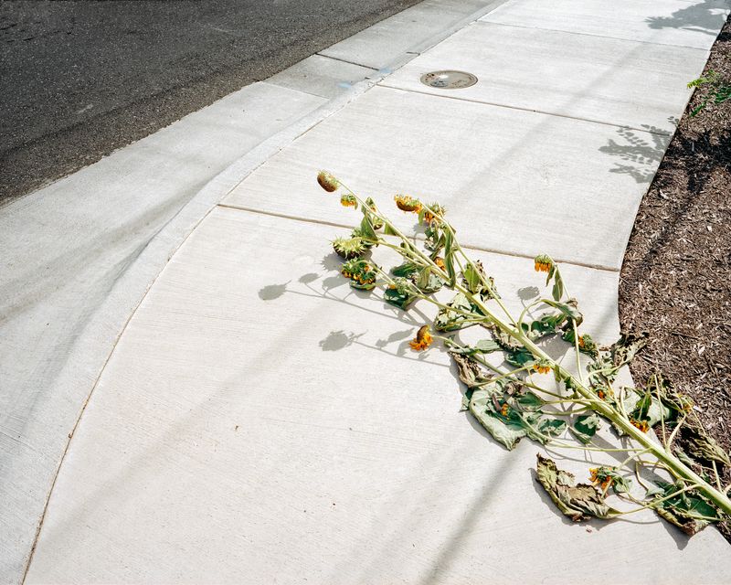 © Diego Saldiva - Image from the Everyone Has A Plan   Until They Get Punched In The Mouth photography project