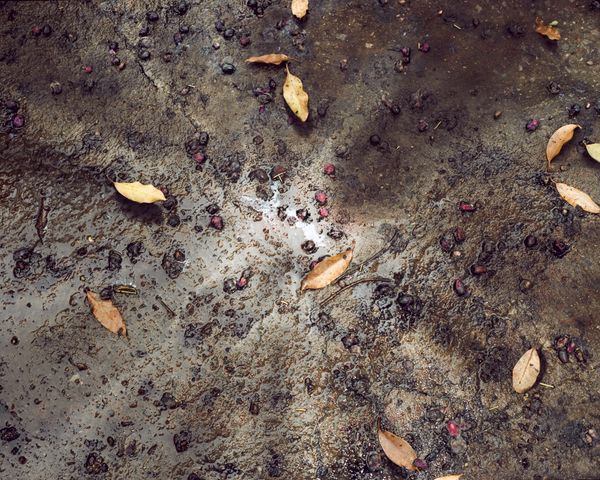 © Diego Saldiva - Image from the Gigantes photography project