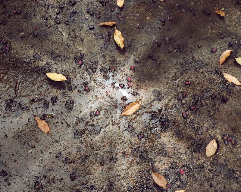 © Diego Saldiva - Image from the Gigantes photography project