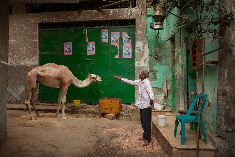 © Kenneth Jarecke - Image from the The Curious Project photography project