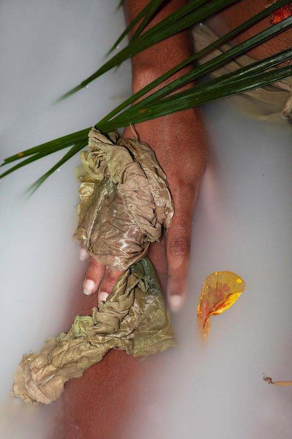 © elsa Kostic - Imaginal Cells. To become a butterfly, a caterpillar has to first digest itself and its whole body turns into liquid.