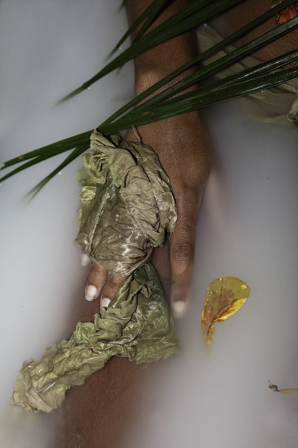 © elsa Kostic - Imaginal Cells. To become a butterfly, a caterpillar has to first digest itself and its whole body turns into liquid.