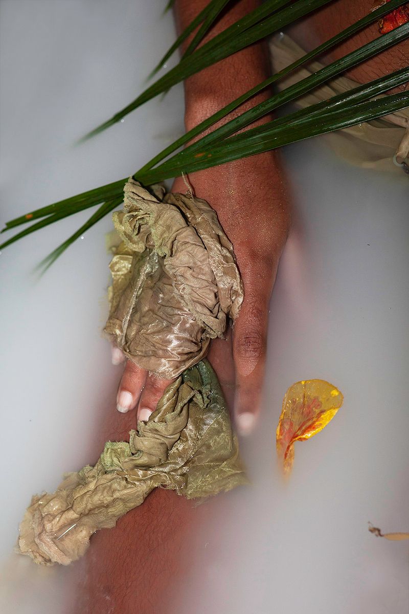 © elsa Kostic - Imaginal Cells. To become a butterfly, a caterpillar has to first digest itself and its whole body turns into liquid.