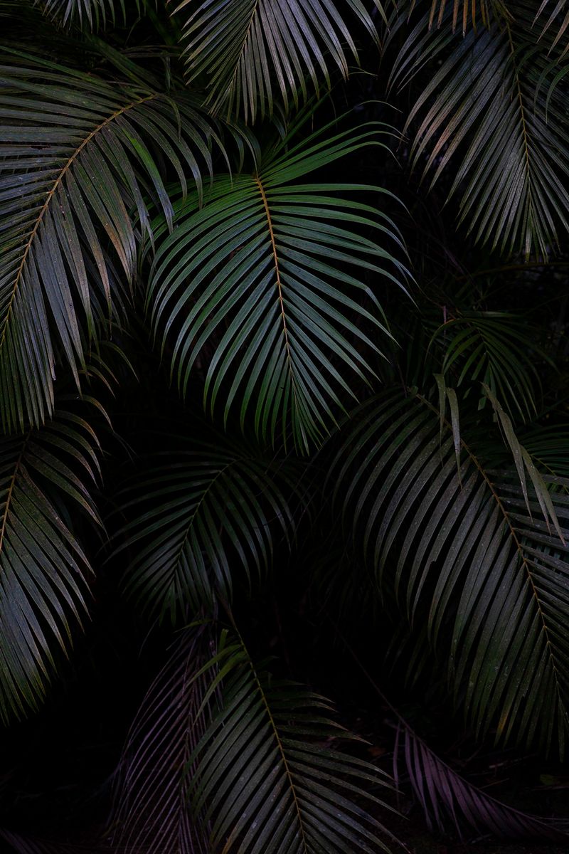 © elsa Kostic - Hidden