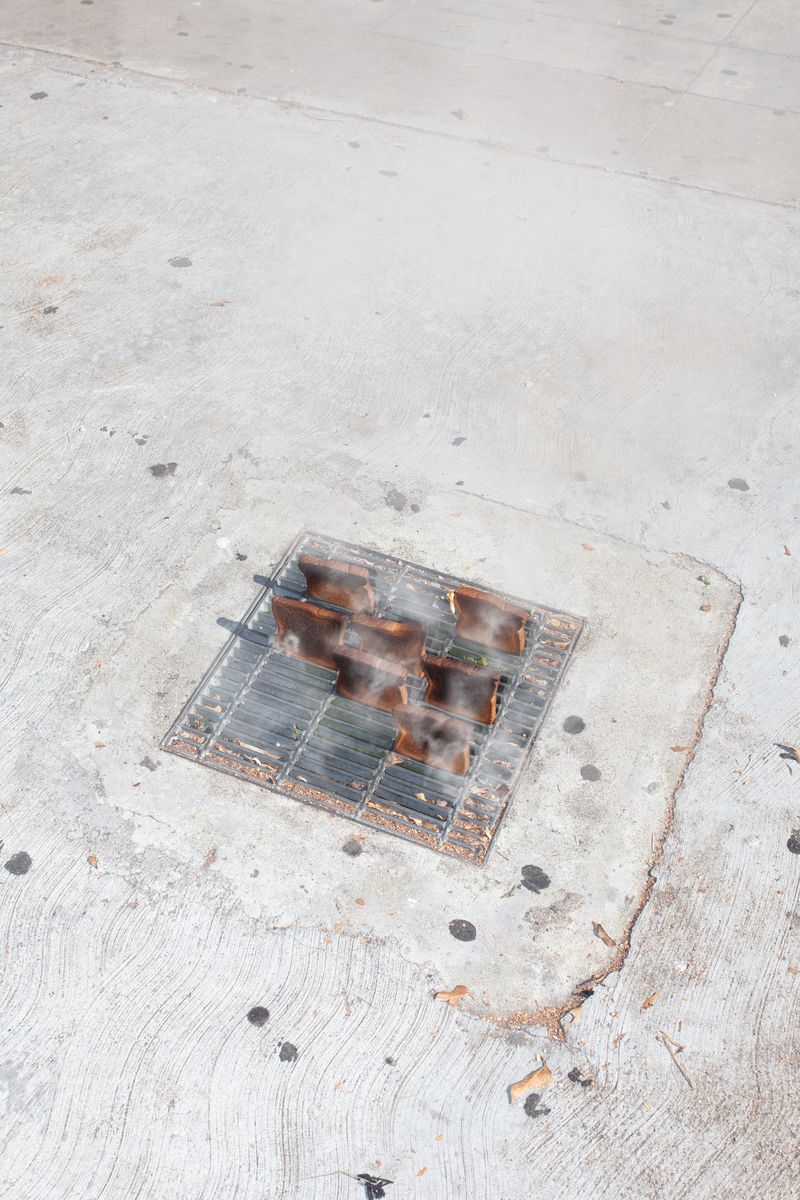 © elsa Kostic - Woke up too late, my toasts burnt.