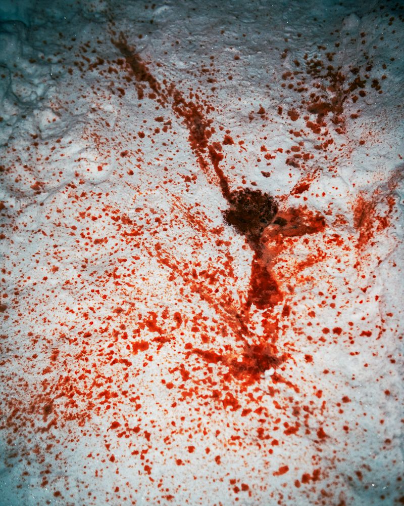 © fodor13 - Image from the fArsta photography project