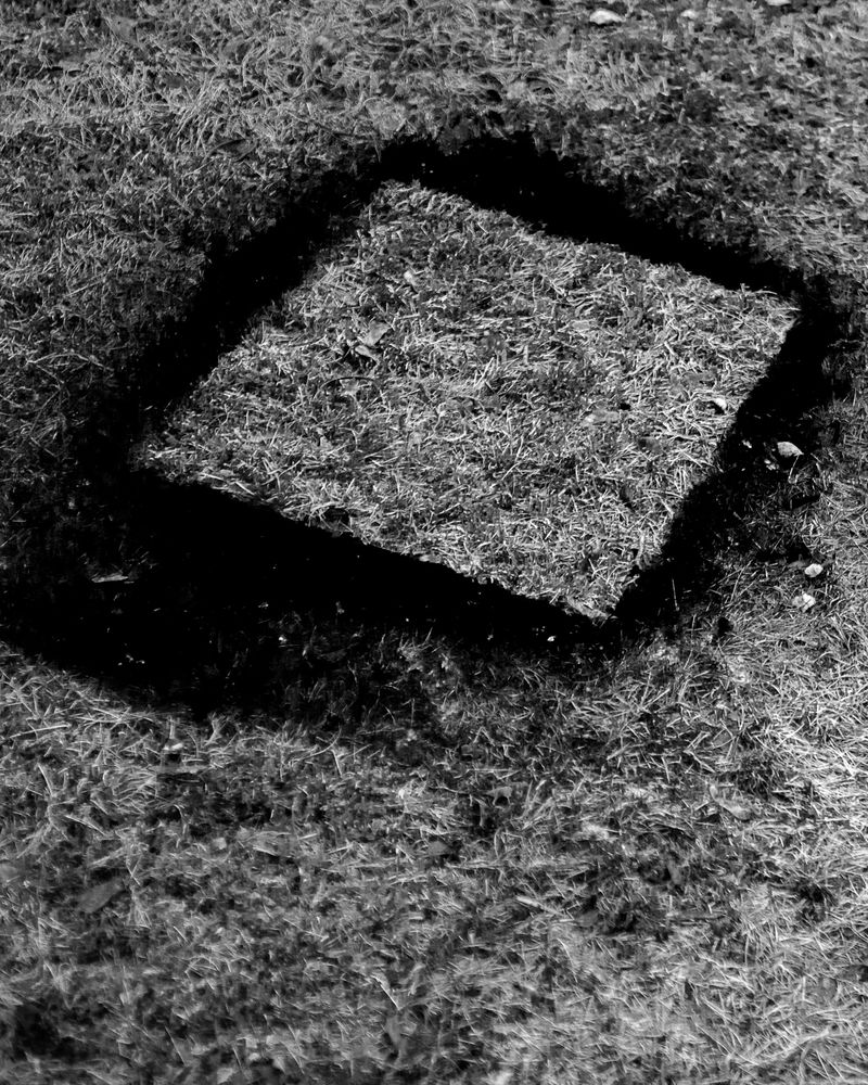 © fodor13 - Image from the fArsta photography project