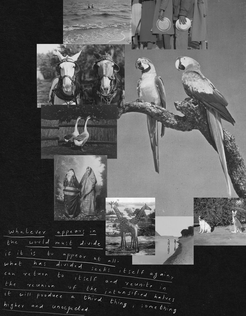 © Radha Rathi - Image from the SONGS OF THE SKY photography project