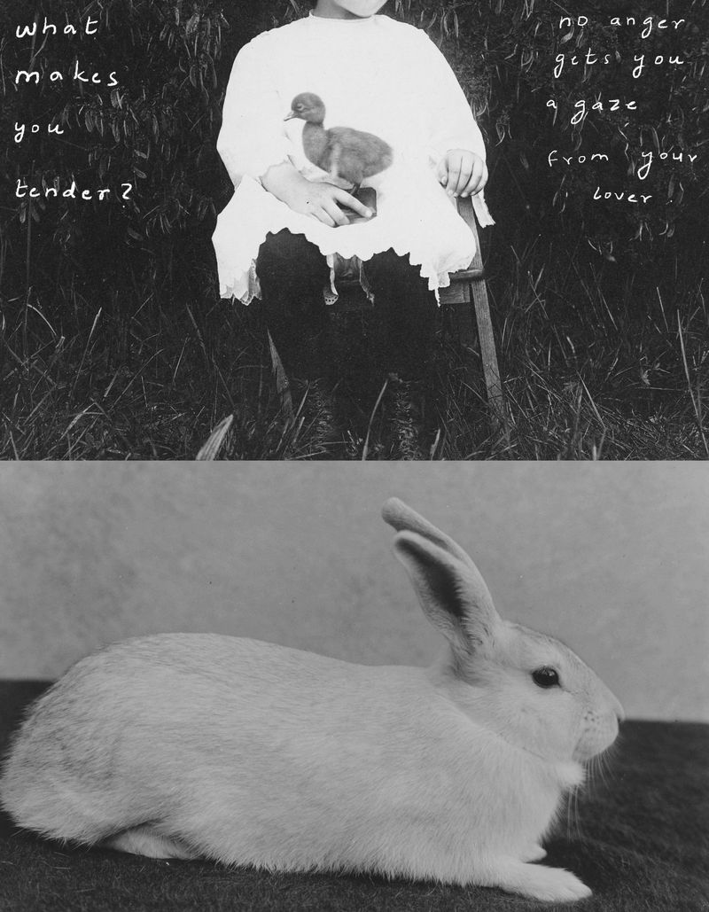 © Radha Rathi - Image from the SONGS OF THE SKY photography project