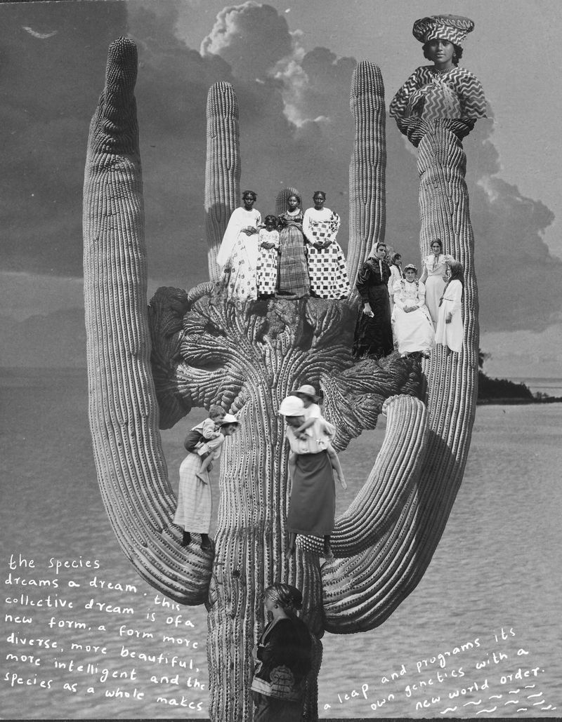 © Radha Rathi - Image from the SONGS OF THE SKY photography project