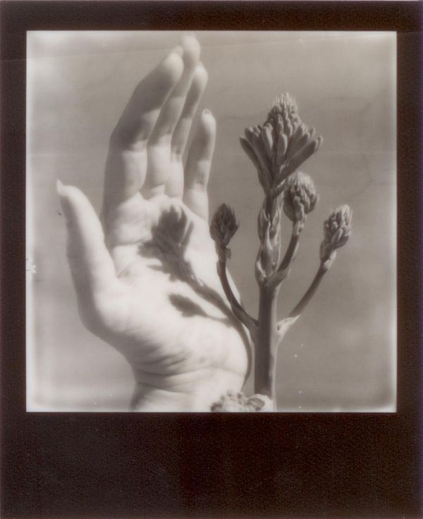 © Emily Lindsay Brown - The Hold