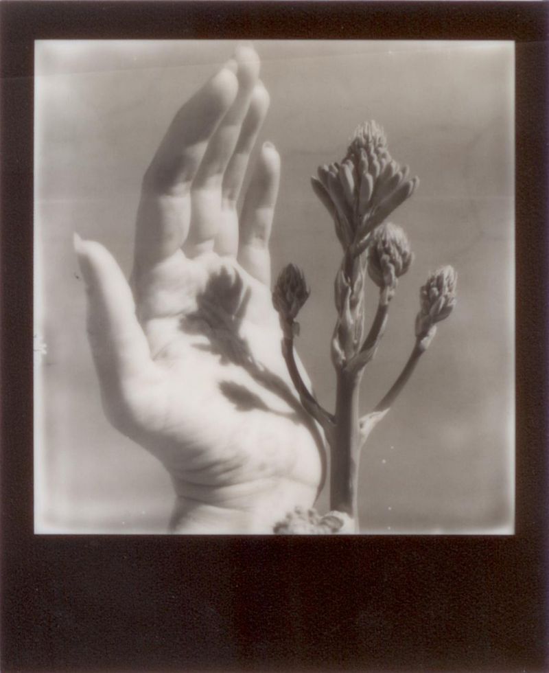 © Emily Lindsay Brown - The Hold